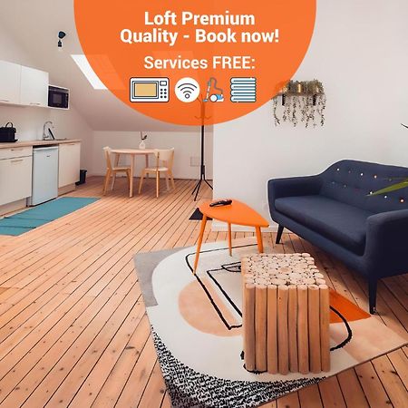 Loft Lumineux Tres Spacieux - Parking Gratuit Châteauroux Kültér fotó